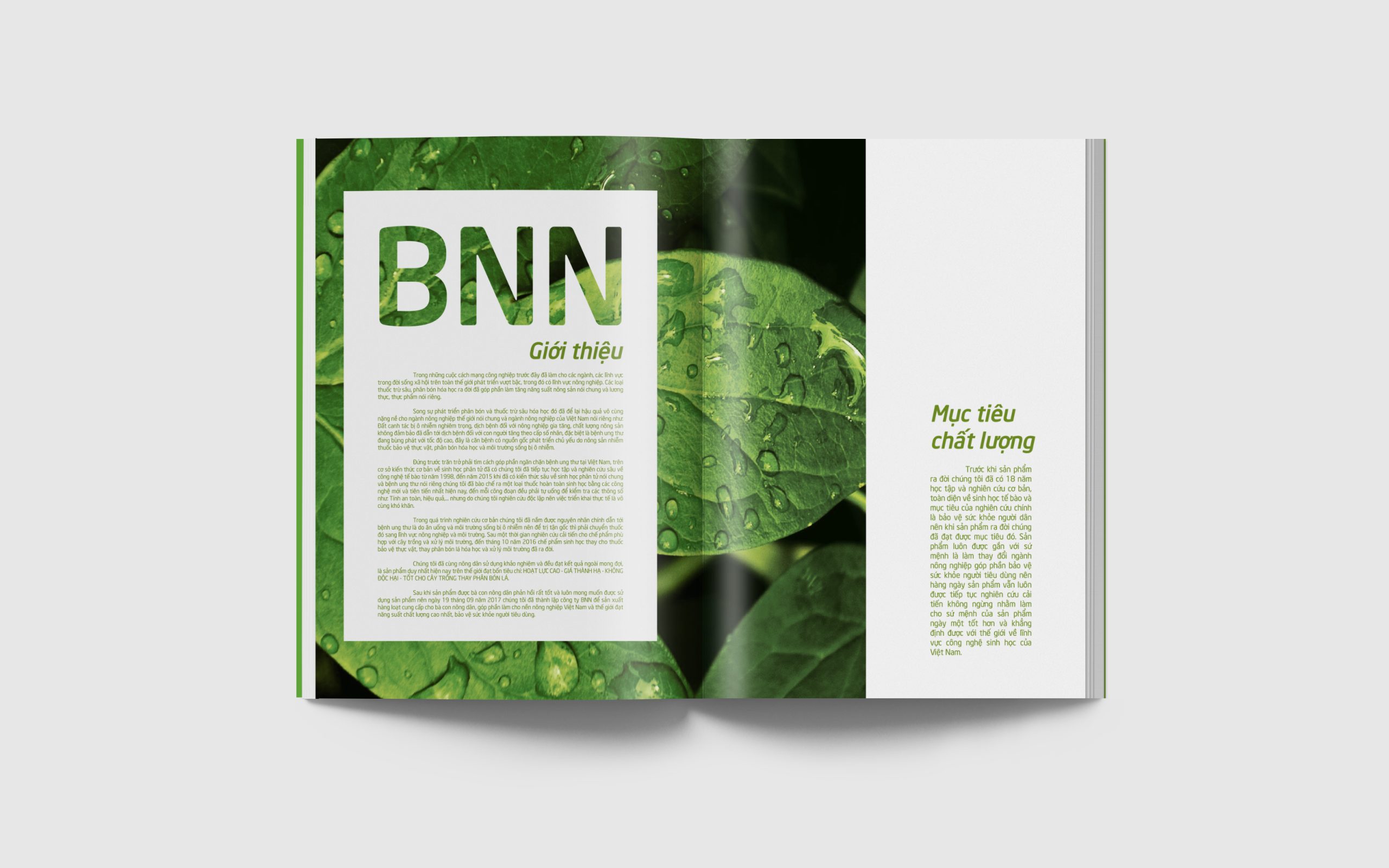 Thiết kế profile công ty BNN